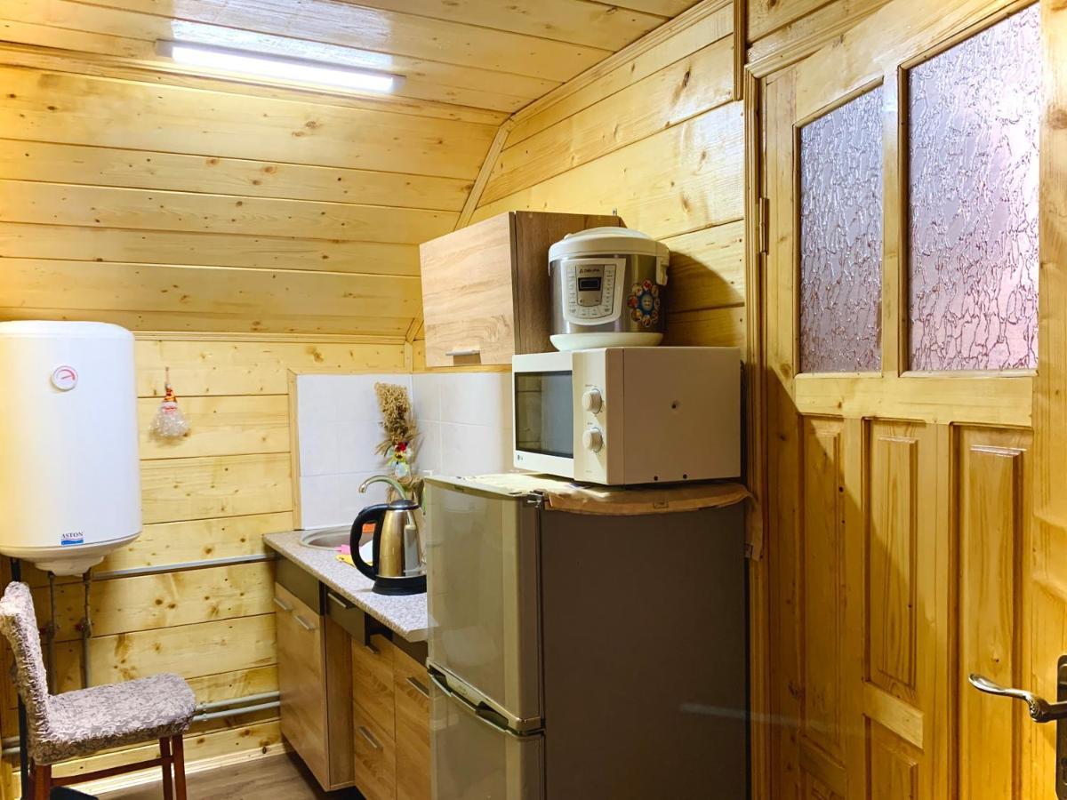 За Горбами Apartment Yaremche Exterior photo